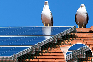 solar panel bird mesh kit solution