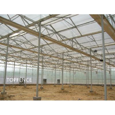 greenhouse for solar Autralia